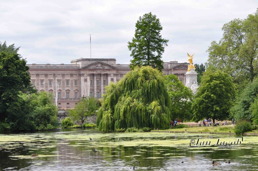 London Tourist Trips Questions 2026 Never published photography of St James’s Park and pretty views of Buckingham Palace at the western end and lake with the park’s famous the pelicans, black swans, and other unique birds.